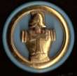Insigne du 45