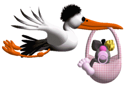 Naissance